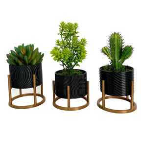 Trio von Cachepot-Vasen