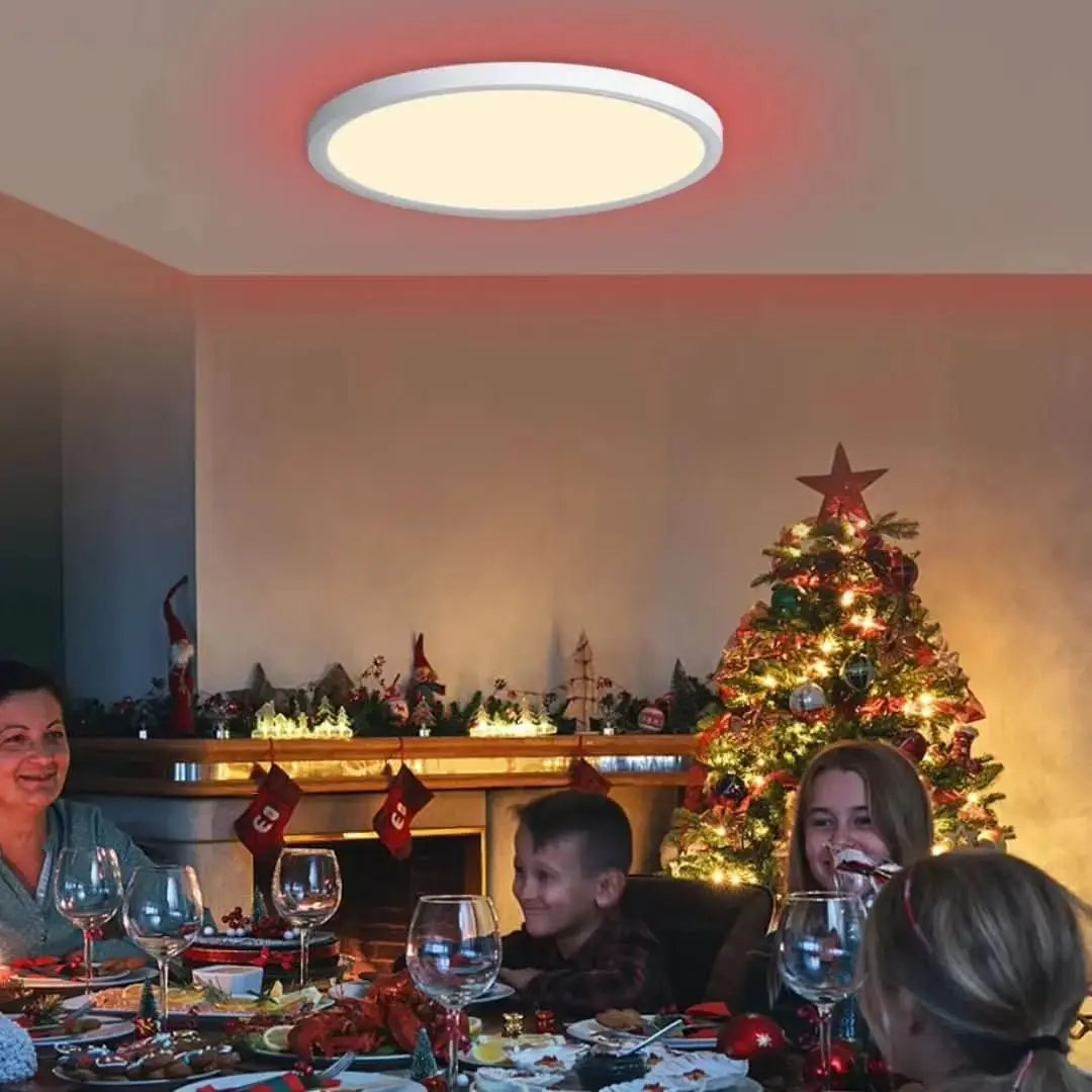 Intelligente runde LED-Plafon-Deckenleuchte – kompatibel mit Alexa und Google Home – Mein Shop