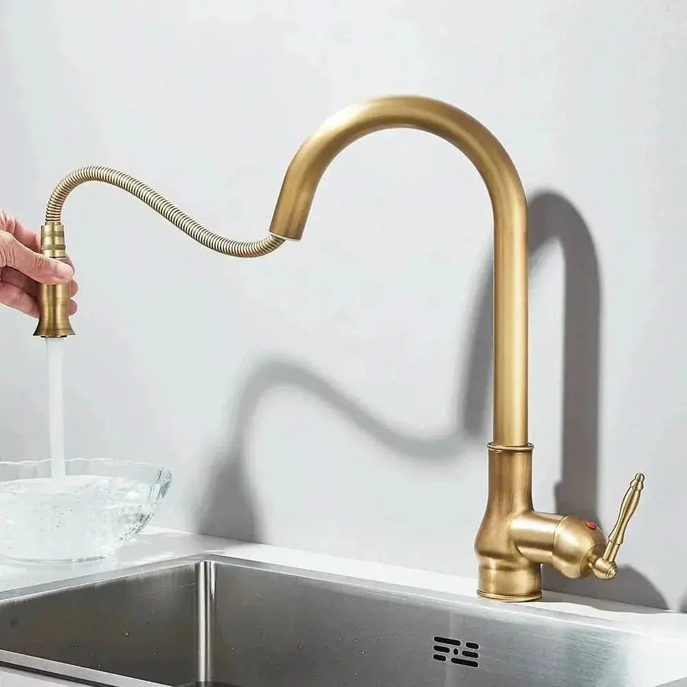 Lumina Einhebel-Gourmet-Küchenarmatur - Mein Shop