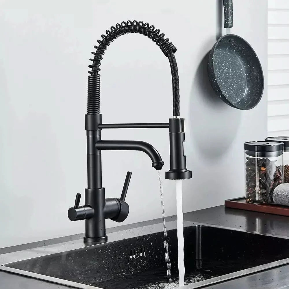 Torneira Para Cozinha Gourmet Monocomando Com Filtro Neptunus - Minha loja