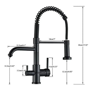 Torneira Para Cozinha Gourmet Monocomando Com Filtro Neptunus - Minha loja