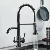 Torneira Para Cozinha Gourmet Monocomando Com Filtro Neptunus - Minha loja