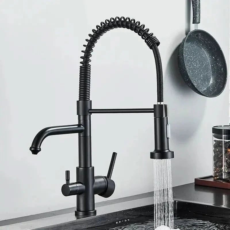 Torneira Para Cozinha Gourmet Monocomando Com Filtro Neptunus - Minha loja
