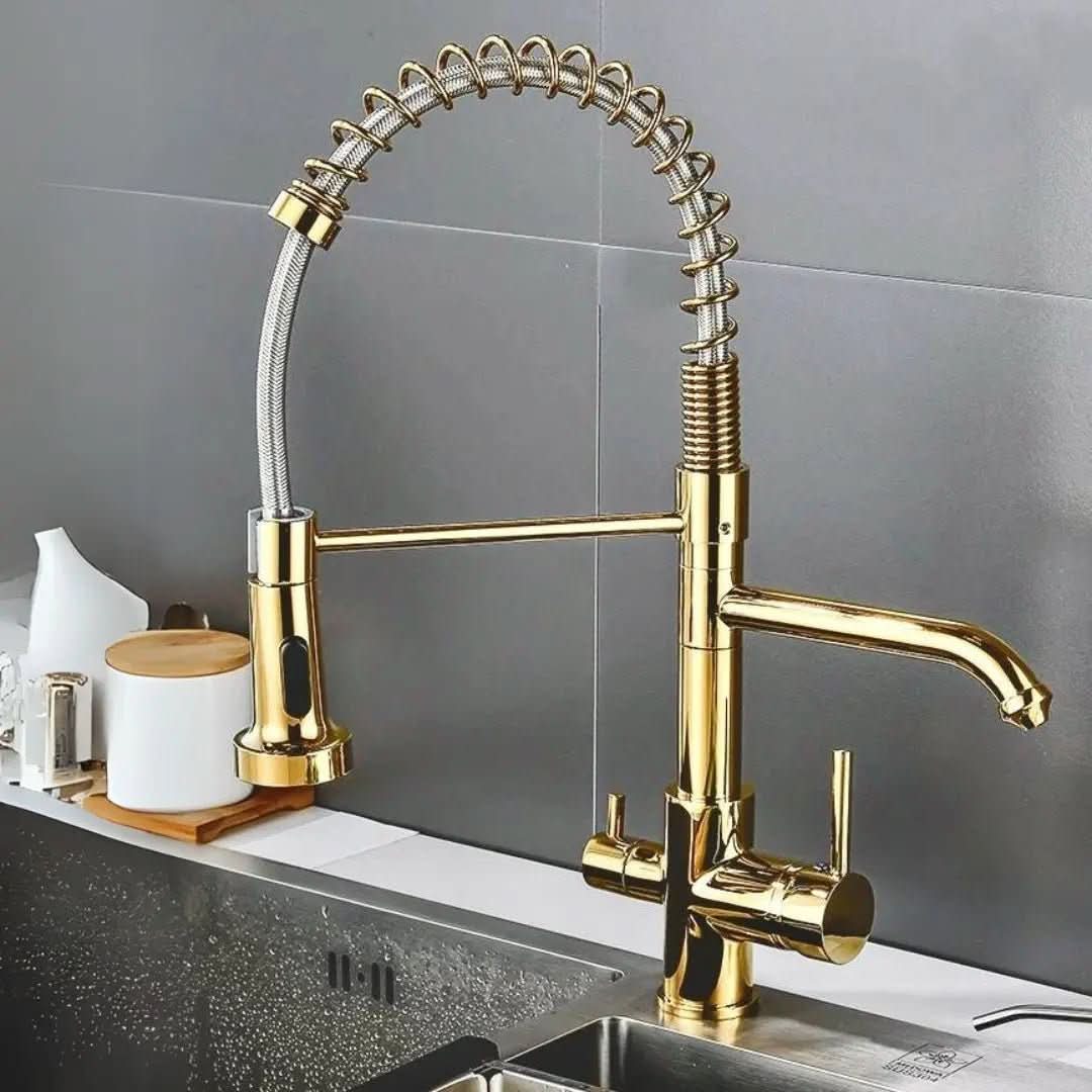 Torneira Para Cozinha Gourmet Monocomando Com Filtro Neptunus - Minha loja