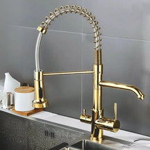 Torneira Para Cozinha Gourmet Monocomando Com Filtro Neptunus - Minha loja