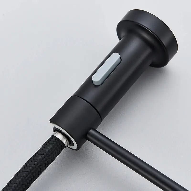 Torneira Para Cozinha Gourmet Monocomando Com Filtro Neptunus - Minha loja